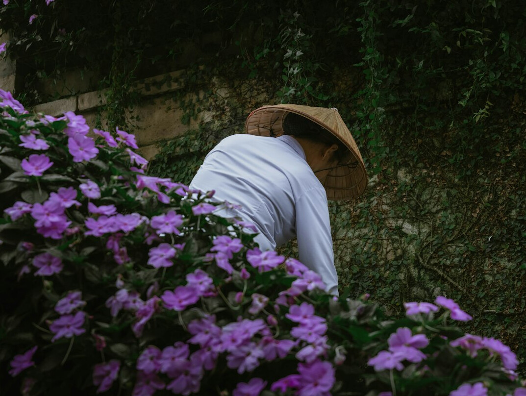 elderly man in garden