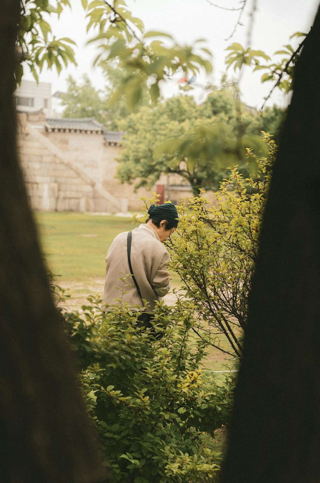 man working in garden