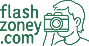 flashzonefy.com logo